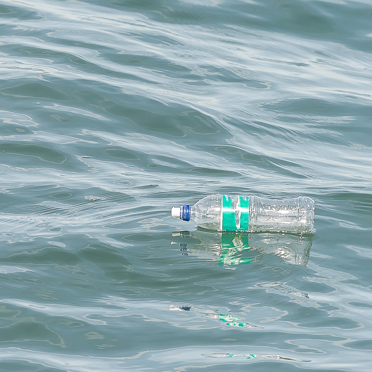 Waste on sea
