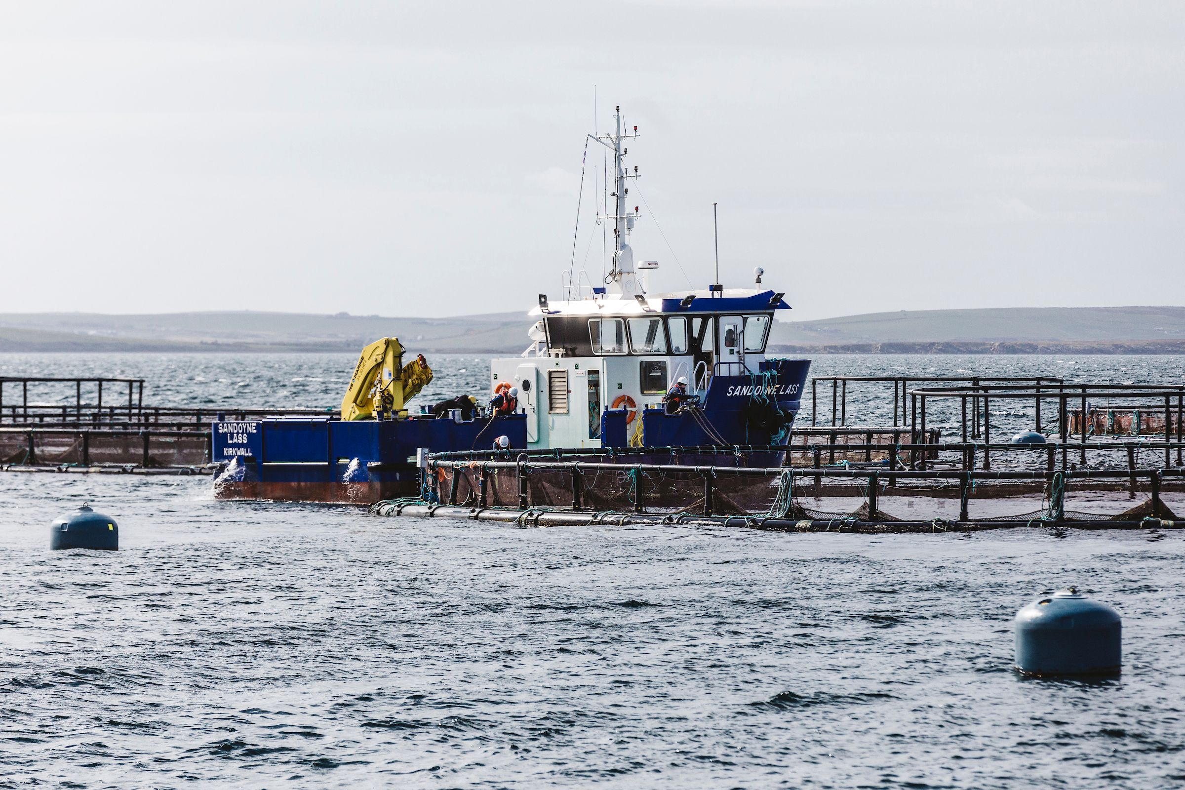 Scottish Sea Farms' site at Westerbister, Orkney. 