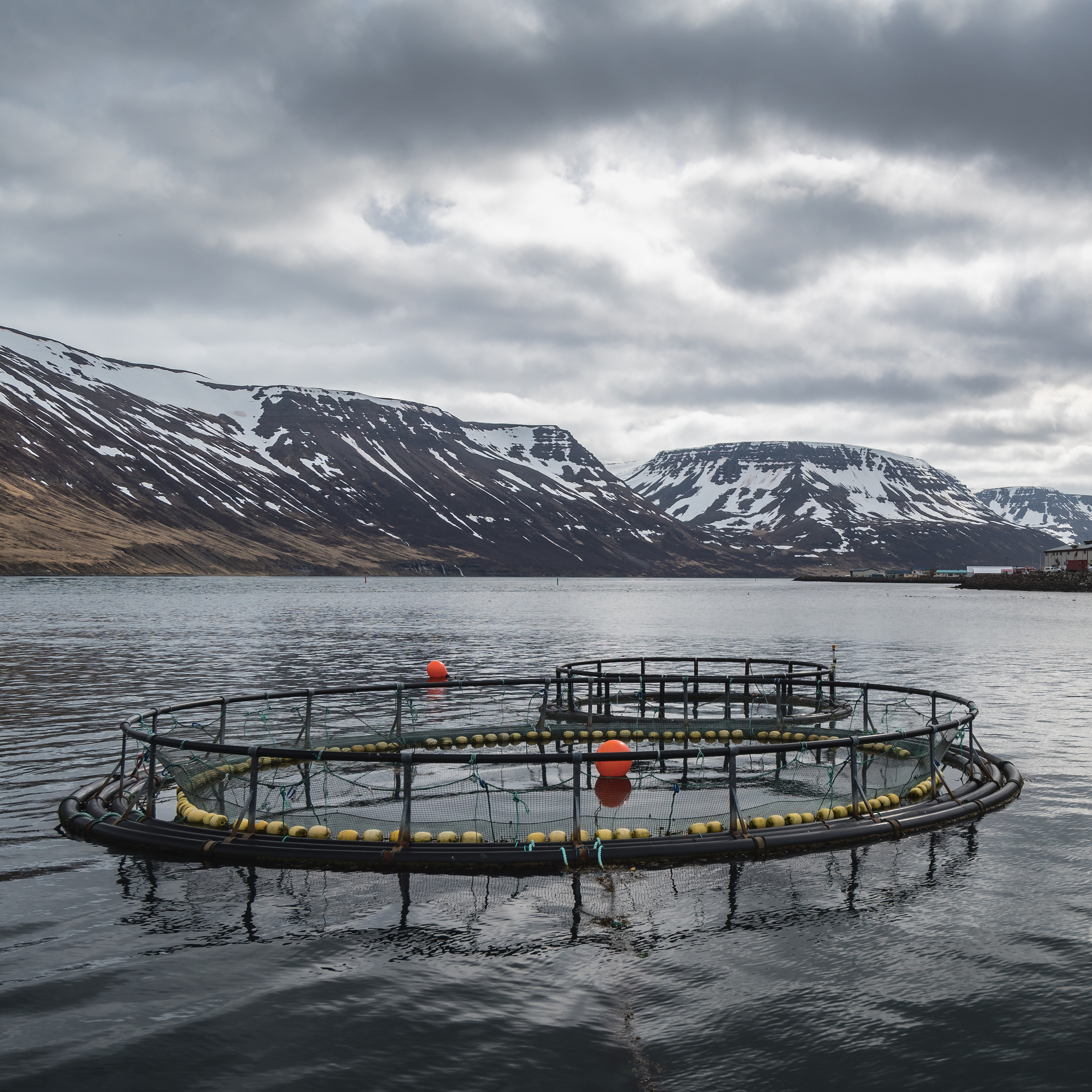Icelandic fish farm