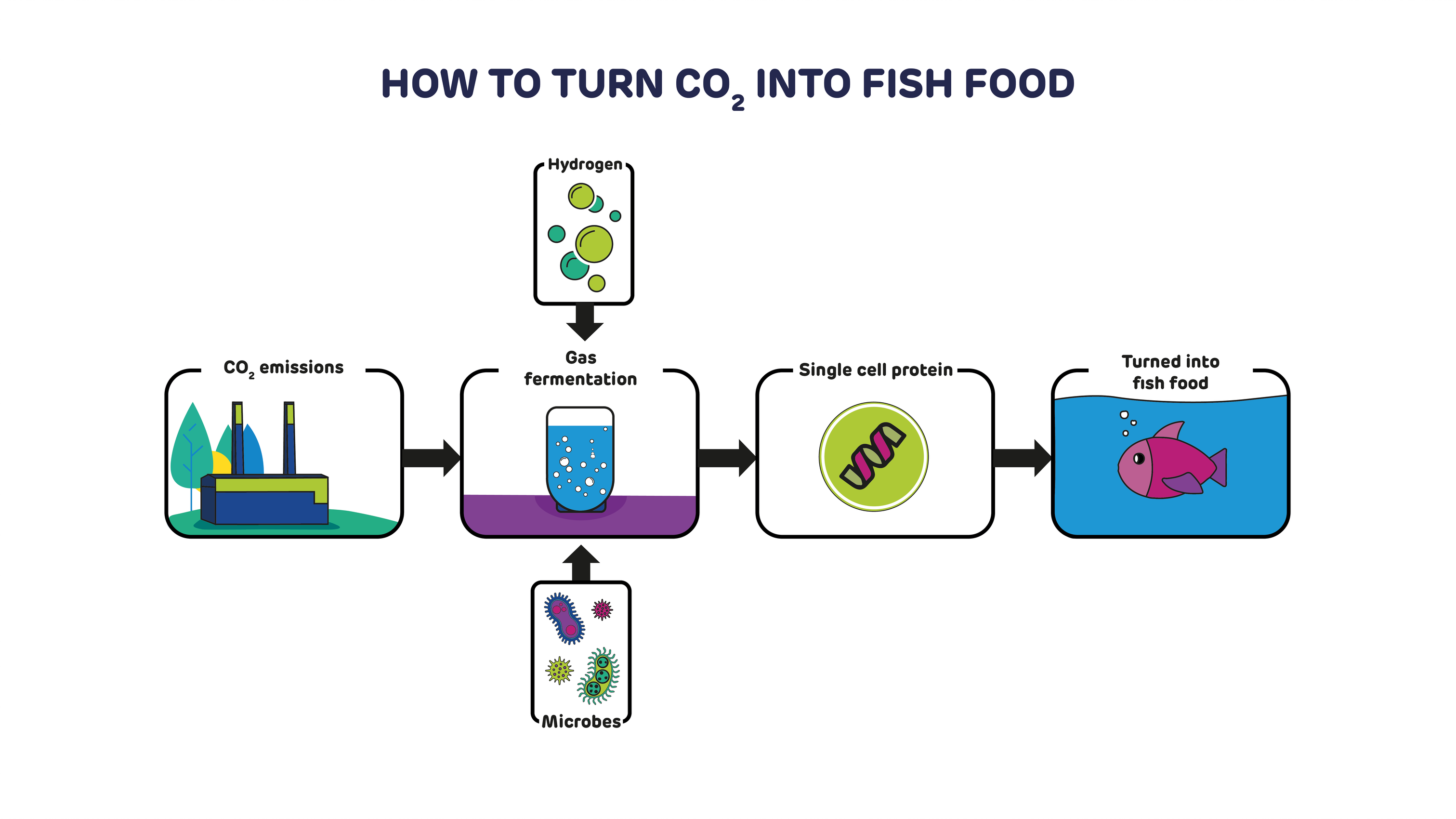The process of converting CO2 into protein for fish feed (diagram: Drax)