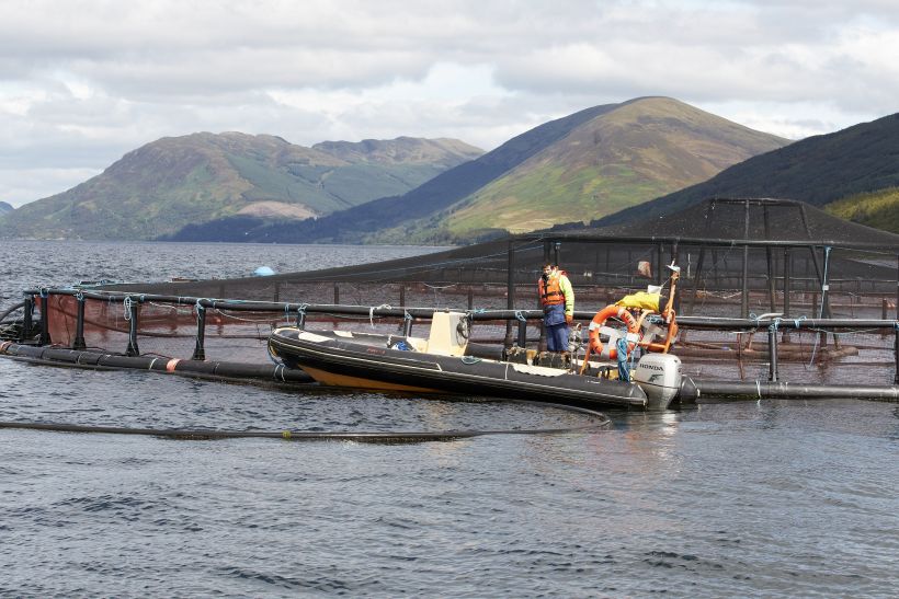 Crown Estate Scotland manages the leases for around 750 fish farm sites