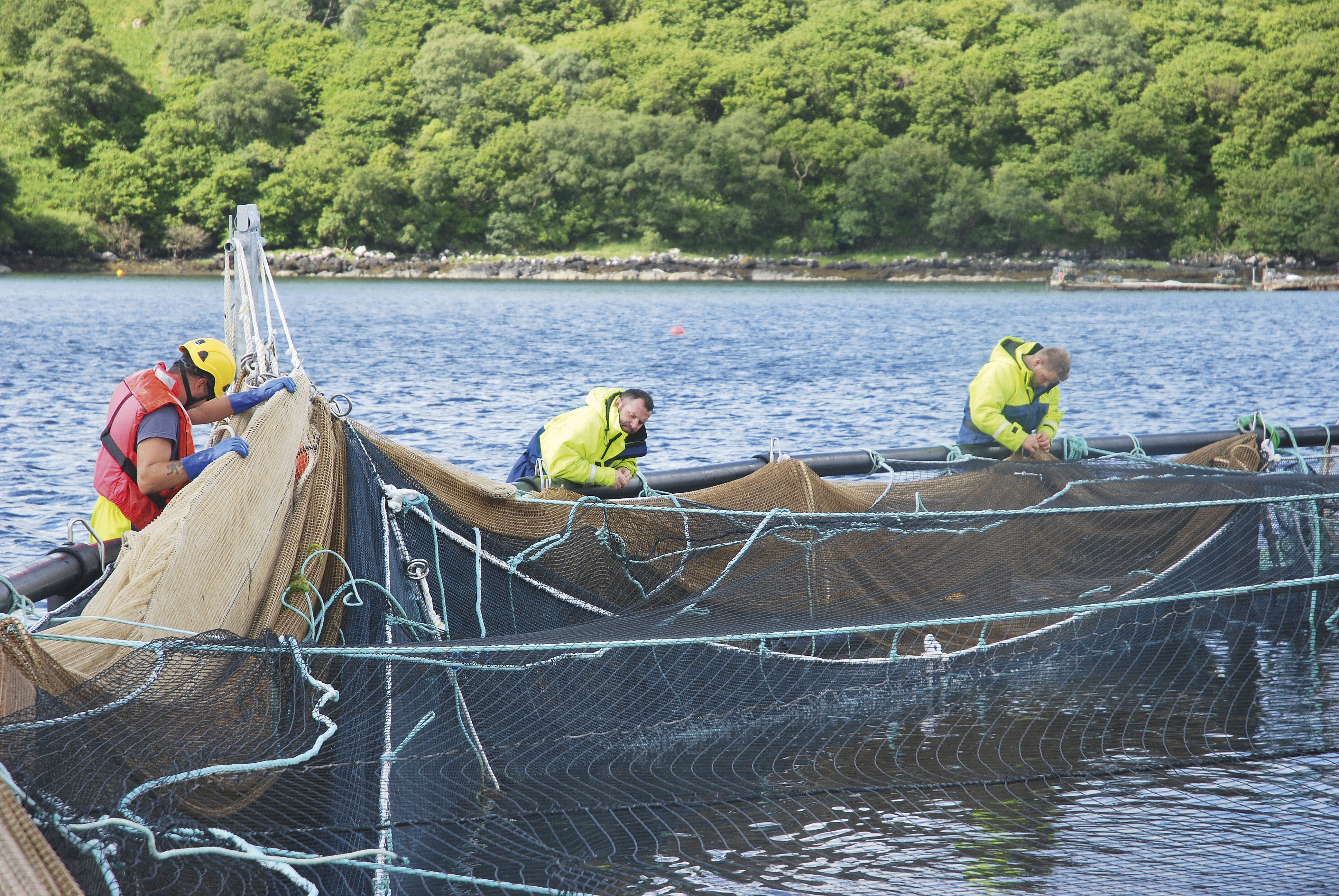 Mowi Scotland's site at Portnalong on Skye - the company has been included in a list of inspirational businesses