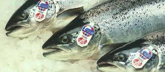 Scottish  farmed salmon‘s feed suppliers will continue to ensure their ingredients are sourced from responsible and sustainable fisheries, said the SSPO