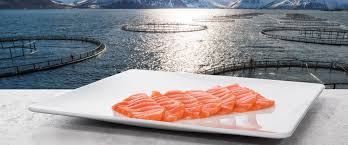 Exports of Norwegian salmon 