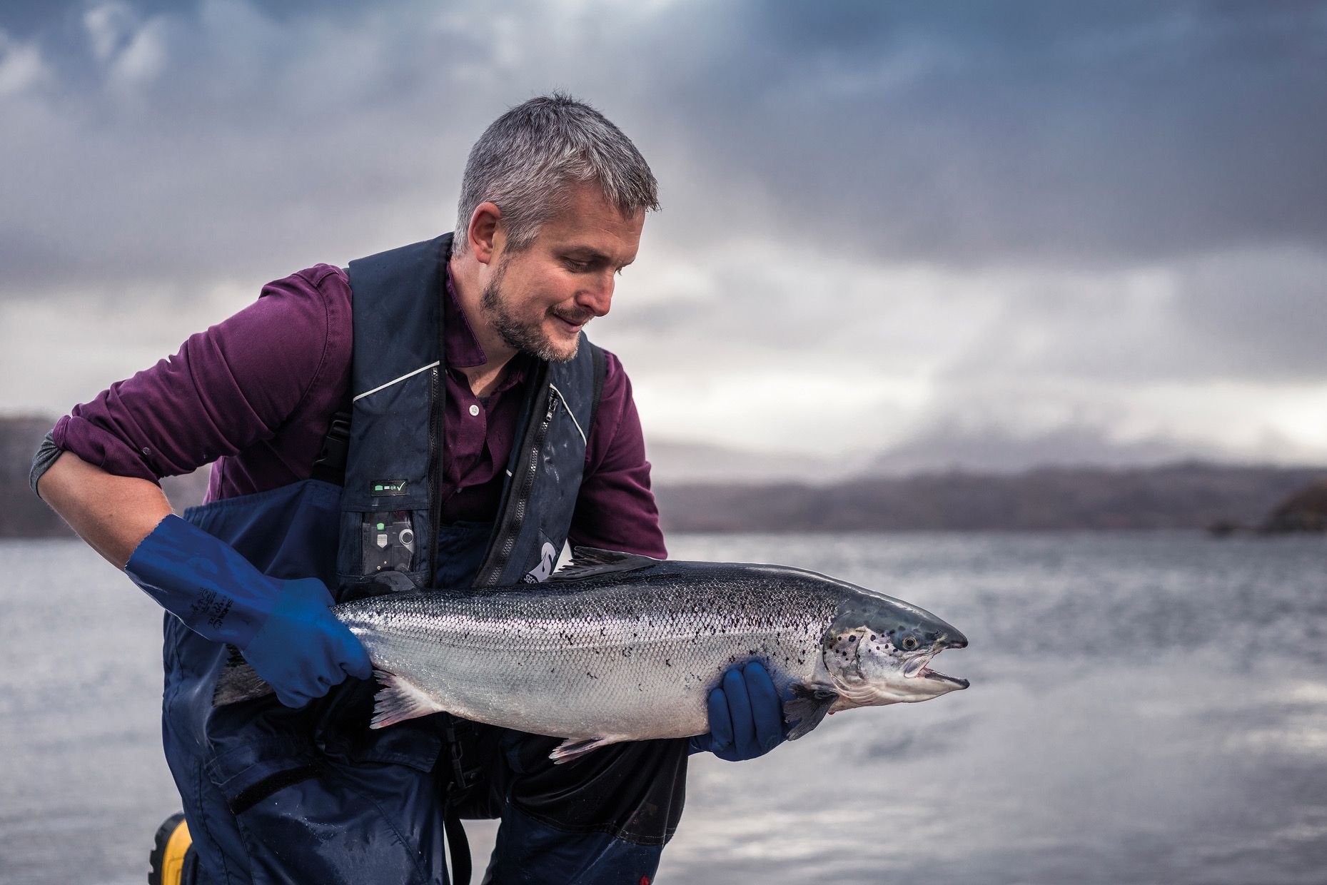 Scotland's salmon farmers are working under the new restrictions