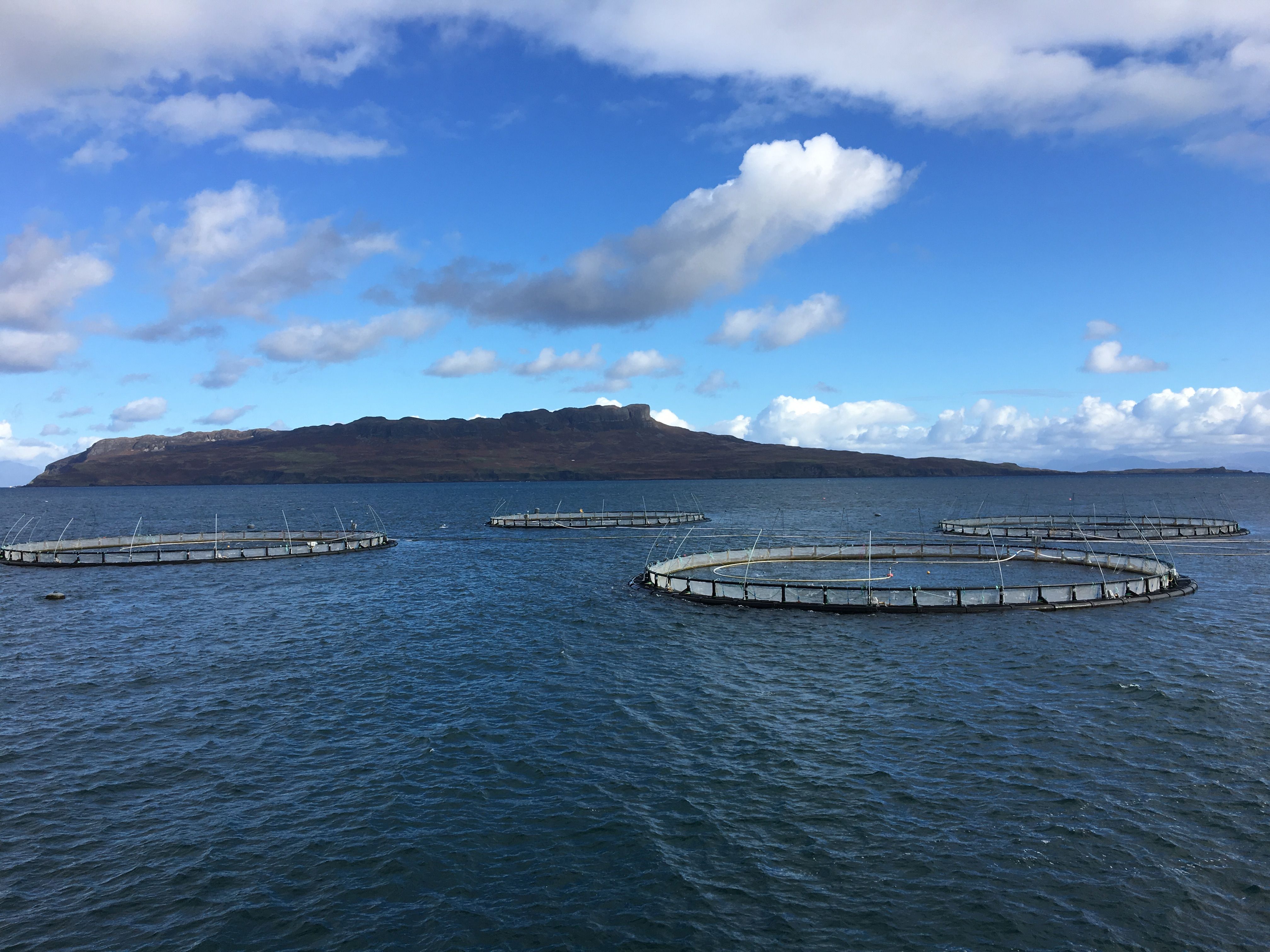 Mowi's offshore farm at Muck - the company plans to expand production at high energy sites