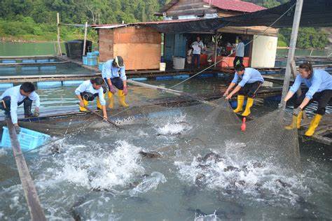 Aquaculture can help protect dwindling stocks, Malaysian fishermen were told