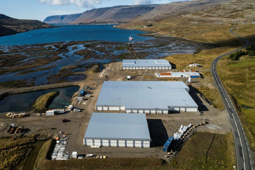 Arctic Fish's aquaculture centre in the west of Iceland (photo: Arctic Fish)