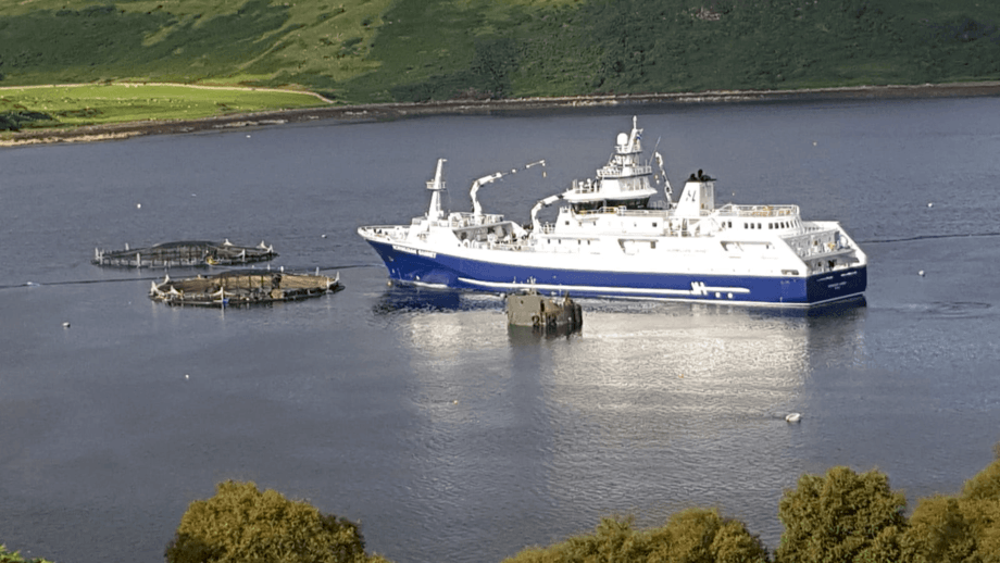 Hav Line's Norwegian Gannet slaughter ship