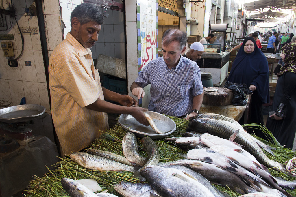 Malcolm Dickson of conference co-host WorldFish inspecting farmed fish in Egypt (photo: WorldFish)