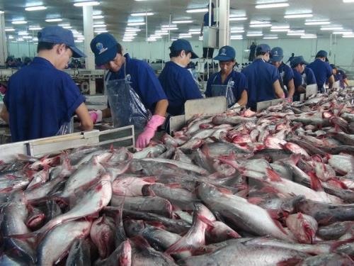 Vietnamese catfish exports have big markets in the US and China