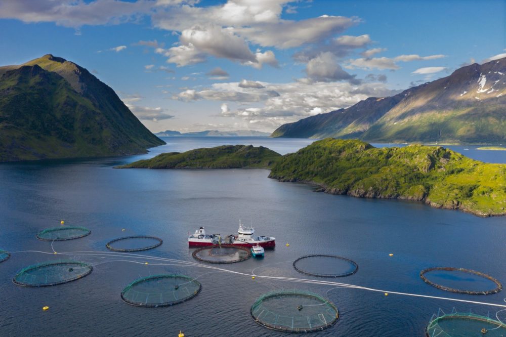 NTS ASA fish farm. Norway
