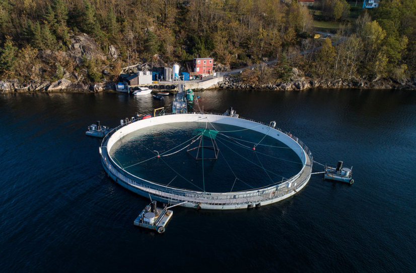 Neptune system installed at a Mowi site, Norway
