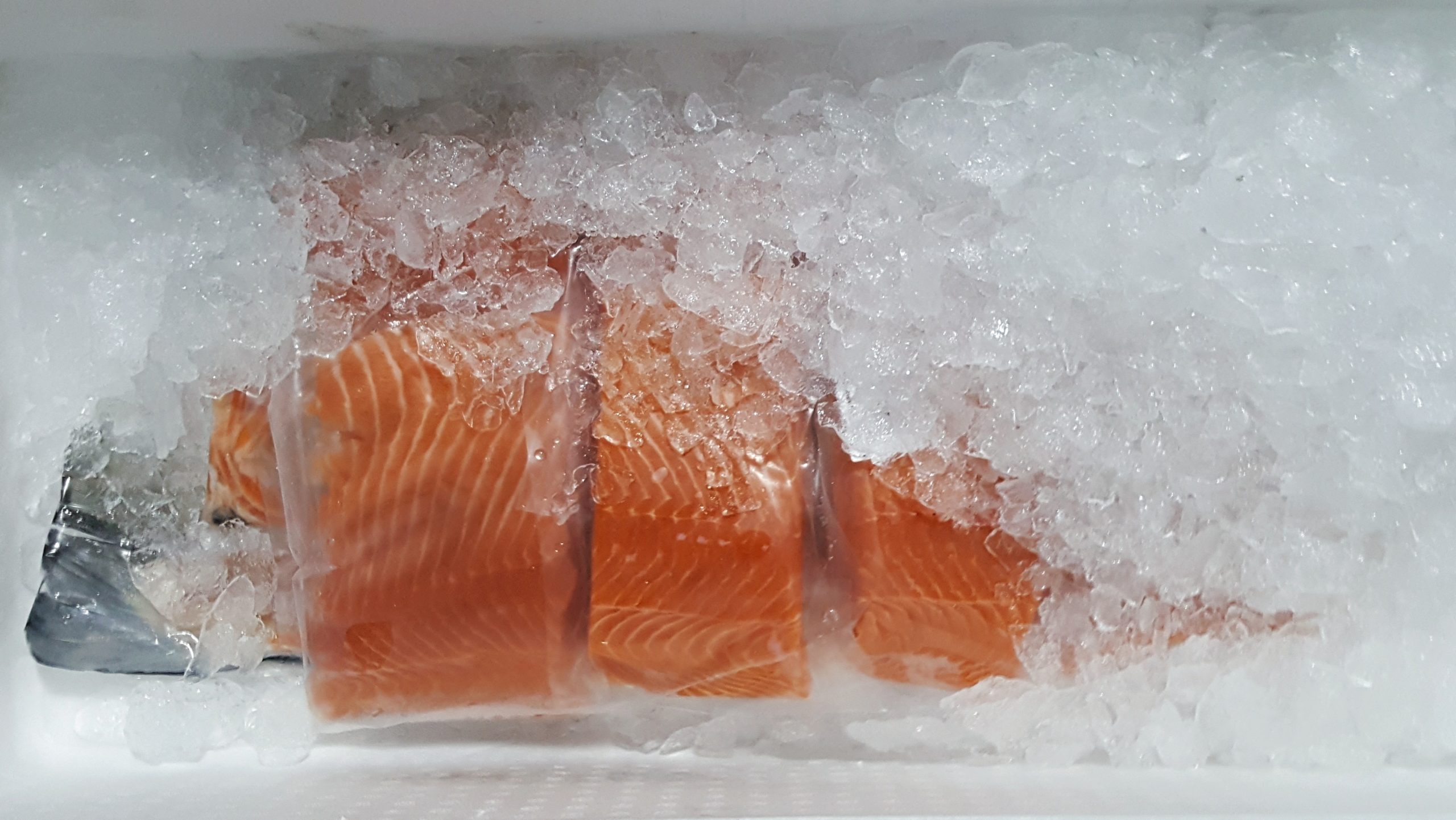 Norway salmon fillet on ice