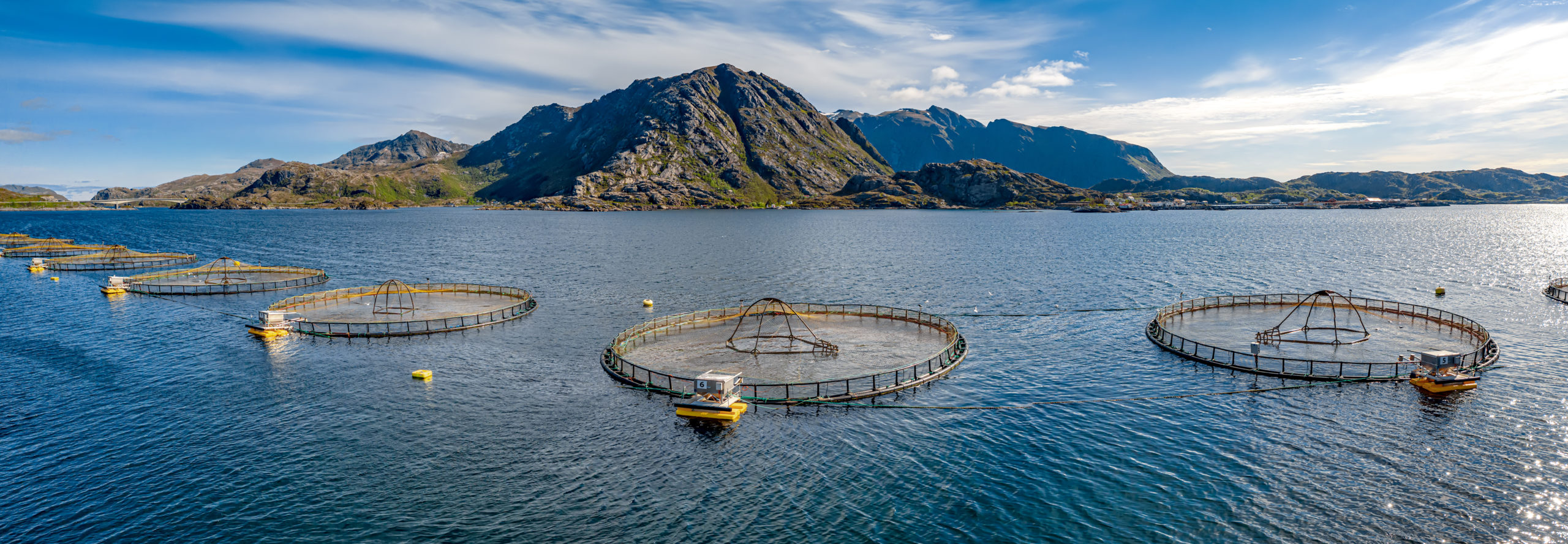 Farm,Salmon,Fishing,In,Norway.,Norway,Is,The,Biggest,Producer