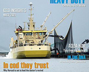 FF-july-21-Cover-3-300x243