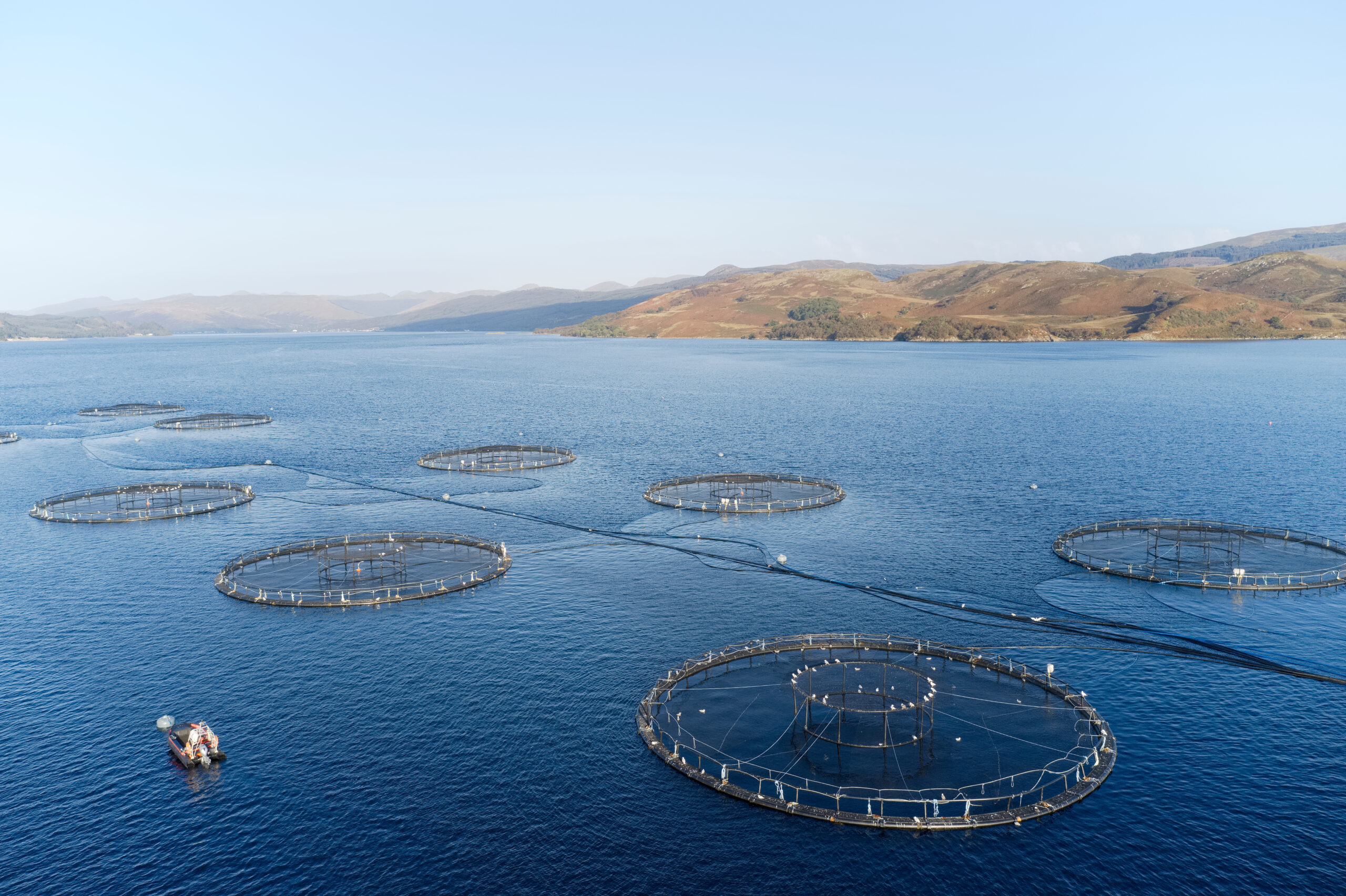 Fish farm salmon sea nets farming at sea Loch Tay Scotland UK