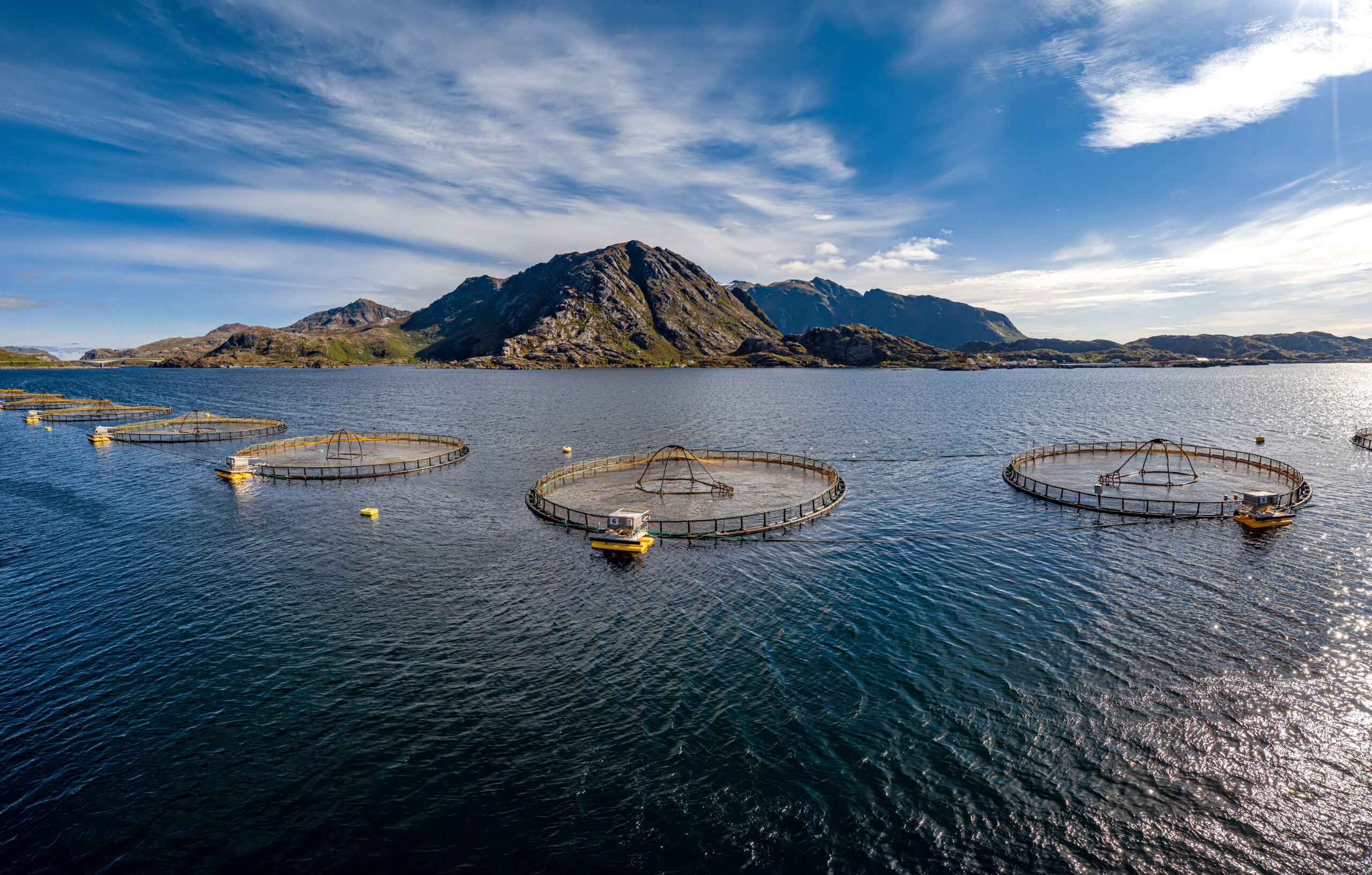 Farm,Salmon,Fishing,In,Norway.,Norway,Is,The,Biggest,Producer