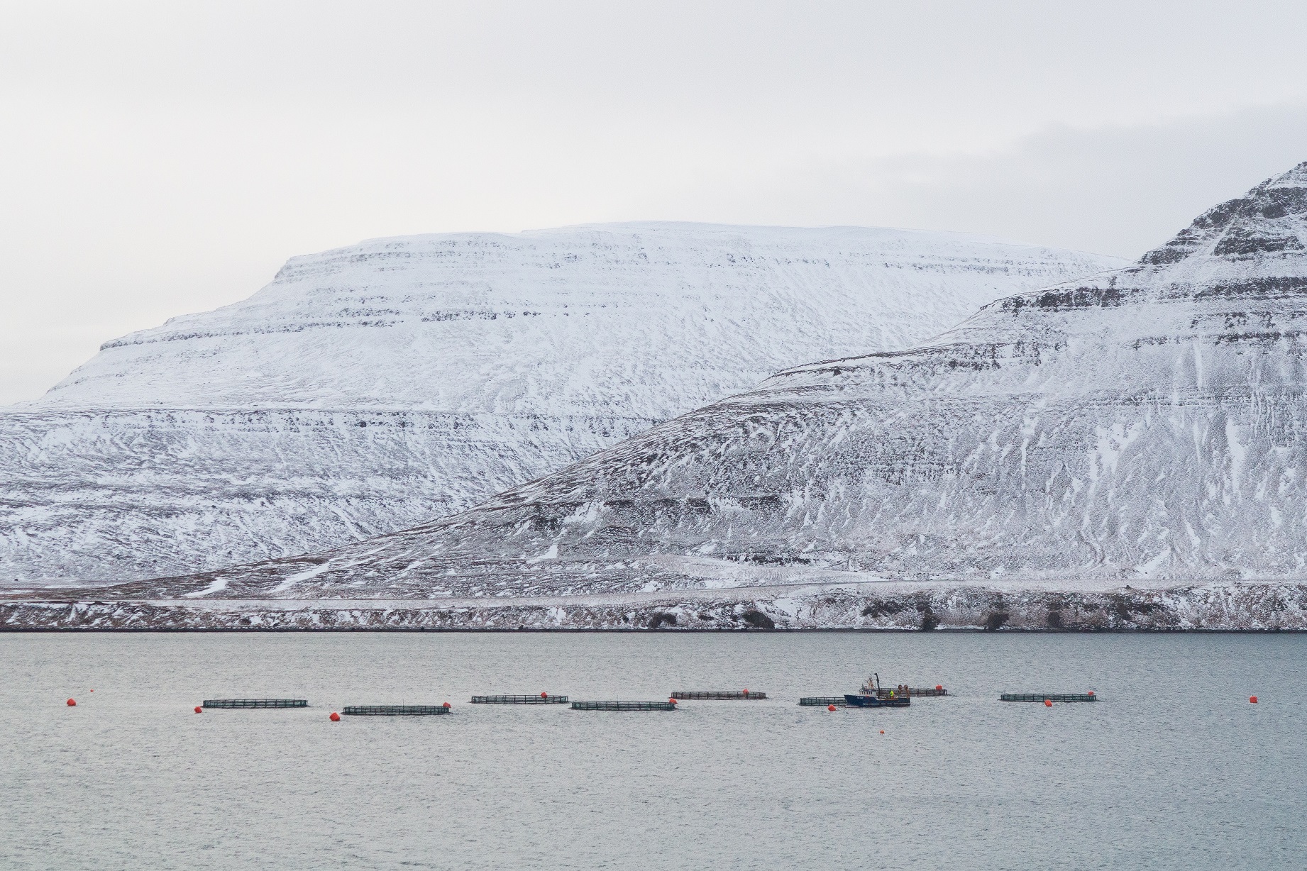 Fish farm at Isafjordur, Iceland
