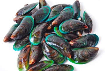 Green,Lipped,Mussel,On,White,Background