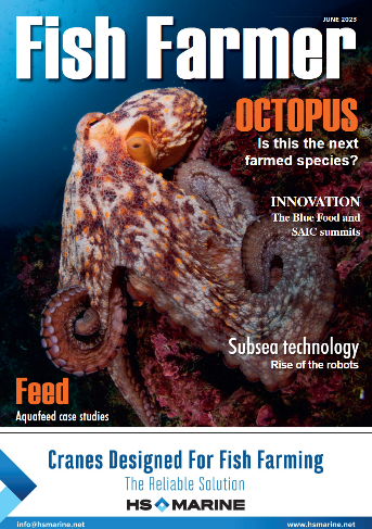 June 2023 issue cover - octopus