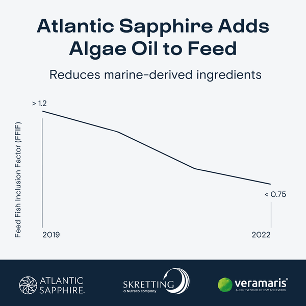 Atlantic-Sapphire-feed-chart-31my2zmn8