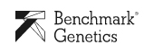 Benchmark-logo-1xba7lak0