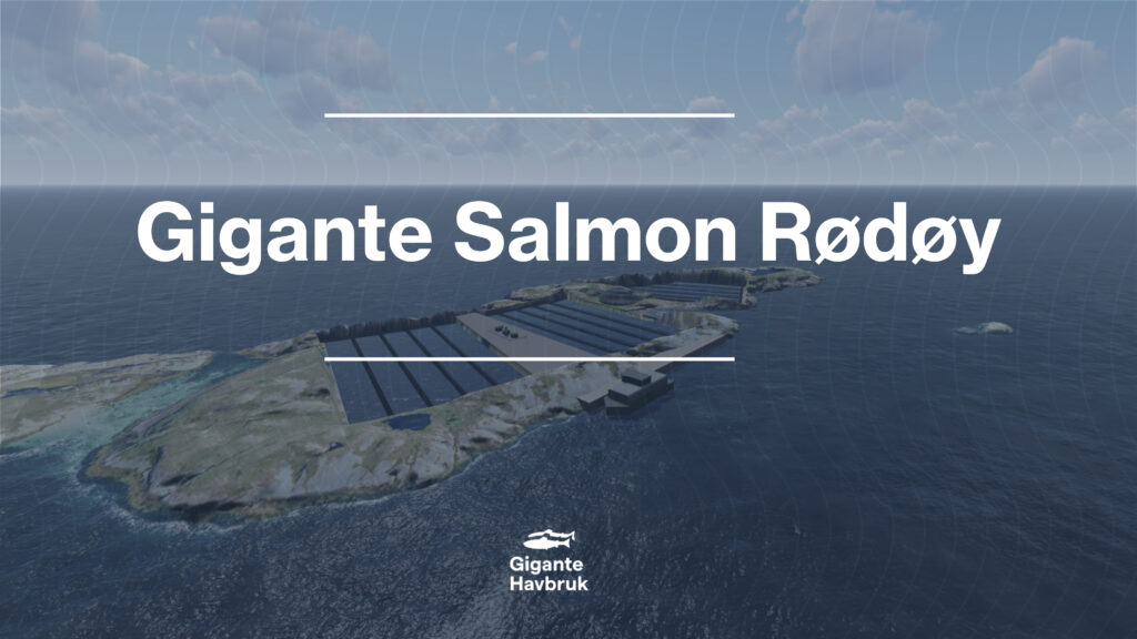 Gigante-salmon-from-online-pdf-via-Andrew-1024x576
