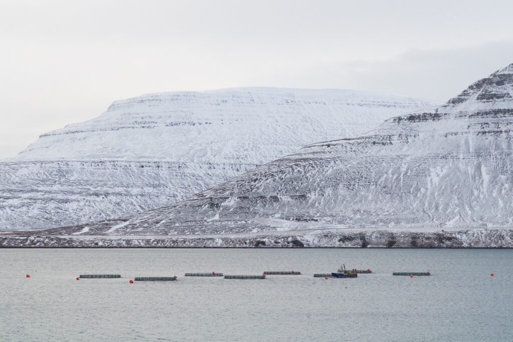 Isafjordur,,Iceland,-,January,19,,2019:,An,Aquaculture,Farm,Outside