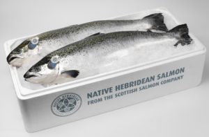 Scottish-Salmon-Company-Native-Hebridean-Box-300x198
