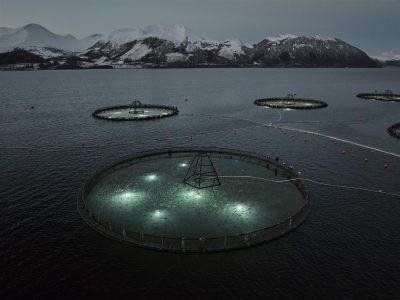  Use-of-light-27ne3fo2i.jpg fish farm sea farming
