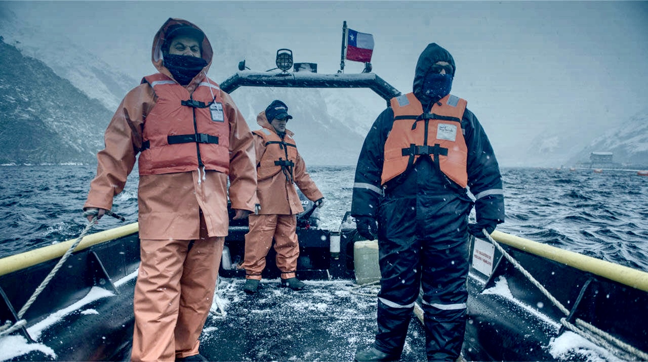 Nova Austral crew, Chile
