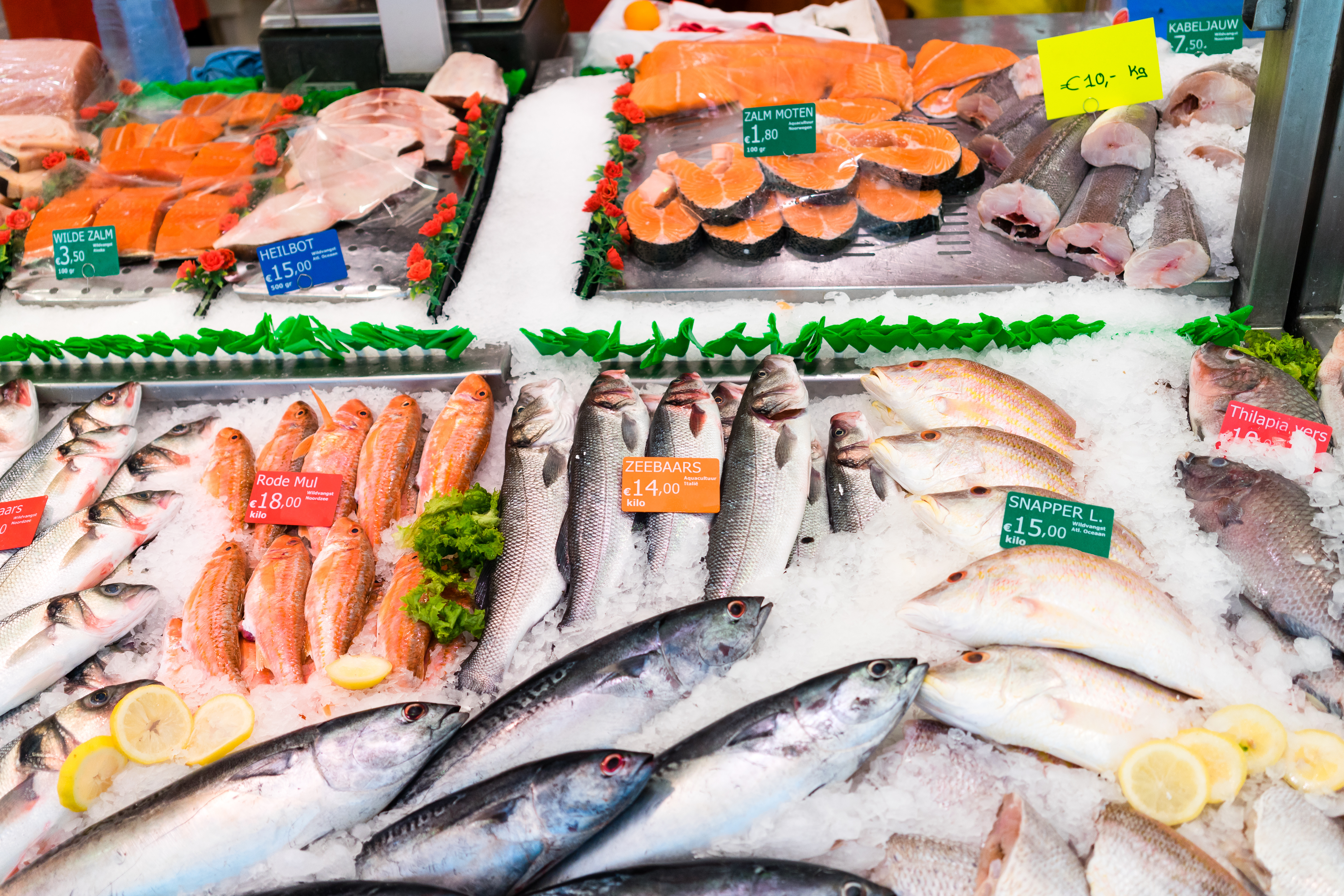 Fish street market - Netherlands
