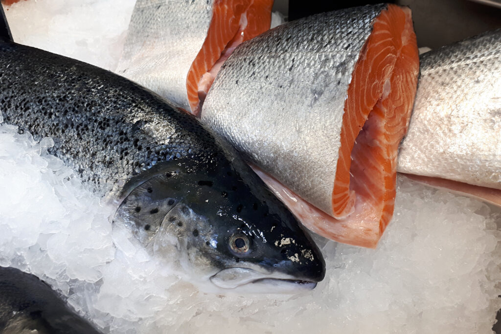 Fresh atlantic salmon on the supermarket counter