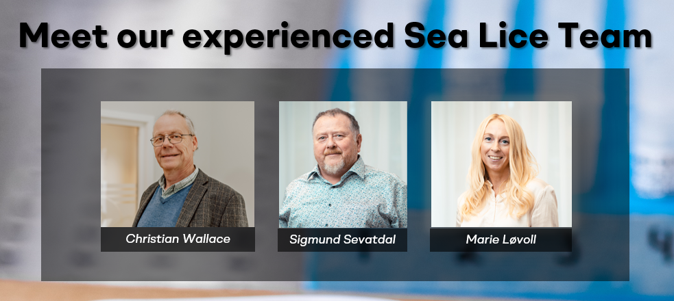 The VESO sea lice team (L-R): Christian Wallace; Sigmund Sevatdal; Marie Løvoll