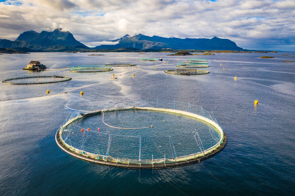Round fish farm pens in blue sea, mountains on horizon