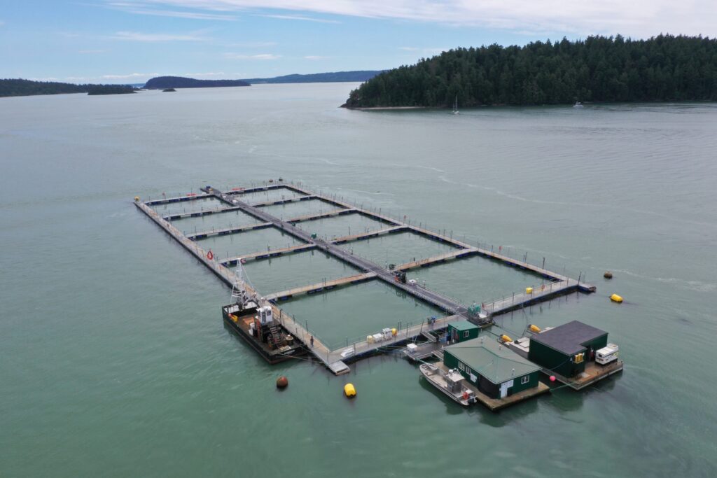 Hope Island steelhead trout farm, Washington state (Photo: Cooke Aquaculture, 2022)