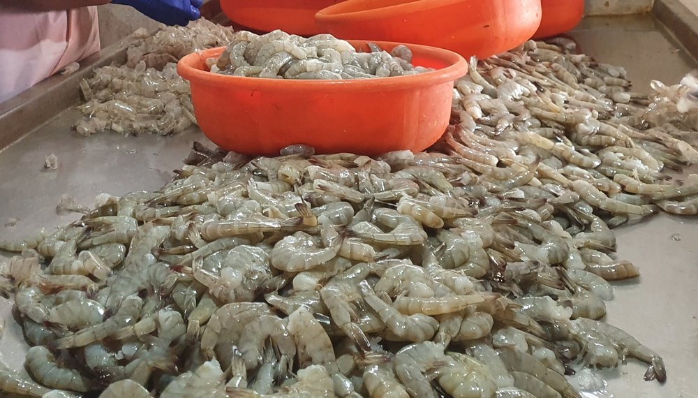 piles of shrimp and a bowl