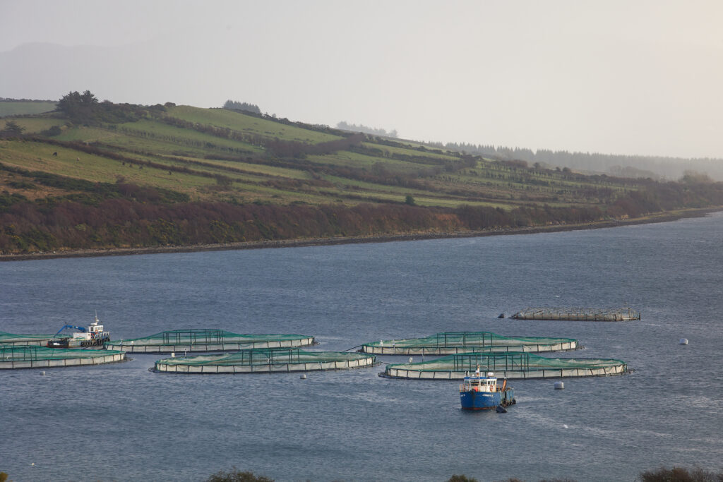 Fish farm, Donegal, Ireland