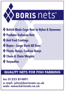 Boris Nets ad