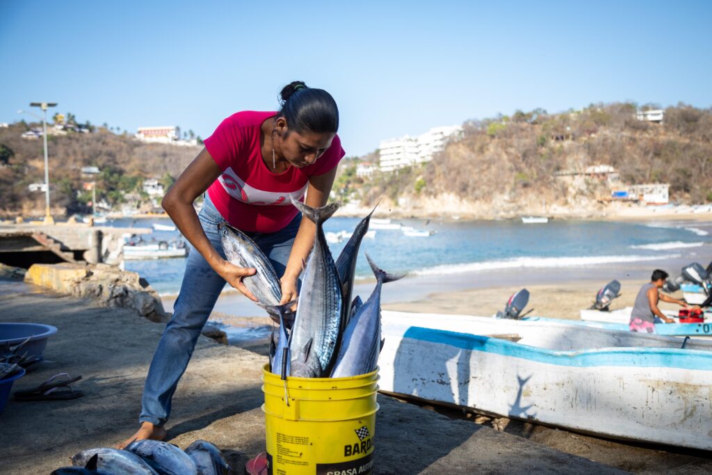 Woman loading large fish into a bucket