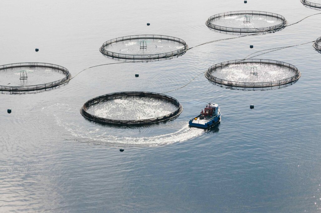 Aerial view of net-cage fishfarm