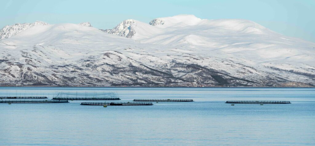 fish pens at sea with snowy mountains in the background