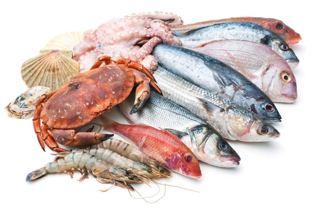 Varieties of seafood
